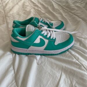 Teal Nike Dunks